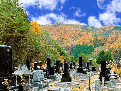 桜に包まれた仏法紹隆寺の樹木葬墓地（諏訪市）