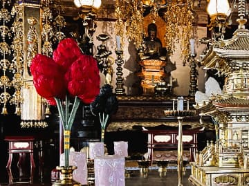 1200年の歴史を持つ仏法紹隆寺の本堂（樹木葬・永代供養）